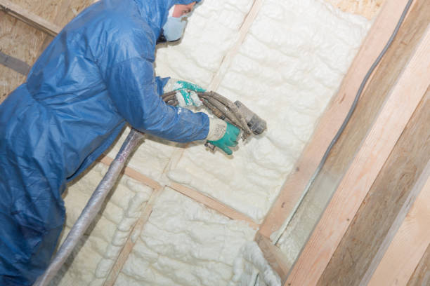 Best Eco-Friendly or Green Insulation Solutions  in Altadena, CA